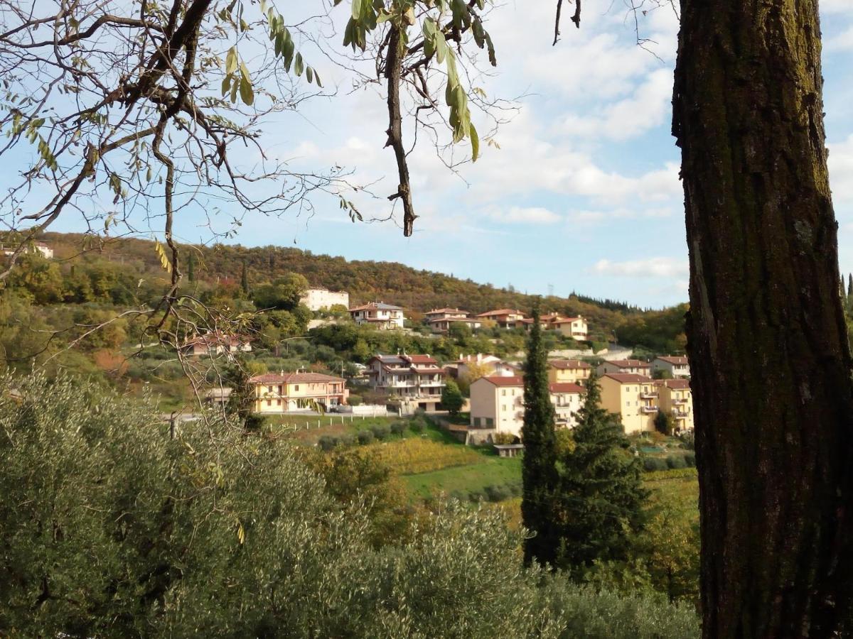 Panoramico10 Apartment With A View In Valpolicella SantʼAmbrogio di Valpolicella Extérieur photo